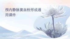 颅内静脉窦血栓形成通用课件