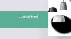 IgA肾病诊断治疗