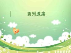 前列腺癌ppt课件