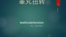 睾丸及扭转超声表现