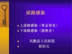 尿路感染课件
