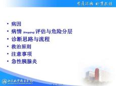 医学专题急性腹痛呕血与便血呕吐急性腹泻.ppt