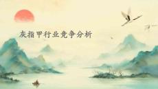 灰指甲行业竞争分析