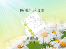 晚期产后出血课件