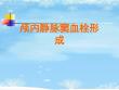 颅内静脉窦血栓形成课件