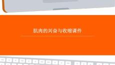 肌肉的兴奋与收缩课件