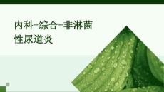 内科-综合-非淋菌性尿道炎