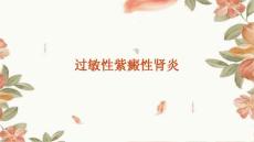 过敏性紫癜性肾炎