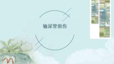 输尿管损伤