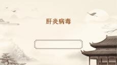 肝炎病毒