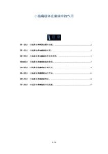 小脑扁桃体在癫痫中的作用
