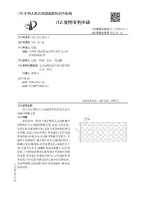 用于治疗婴幼儿主动脉缩窄的铁基合金主动脉可降解支架