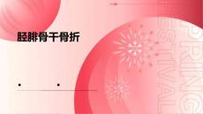 胫腓骨干骨折