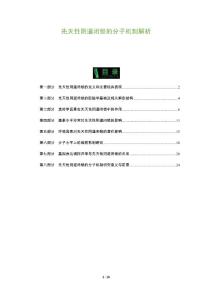 先天性阴道闭锁的分子机制解析