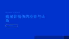 输尿管损伤输尿管损伤的检查与诊断