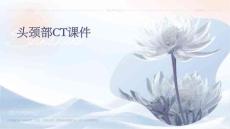 头颈部CT课件