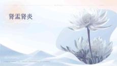 肾盂肾炎