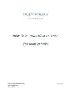 cpalead_optimization_guid1