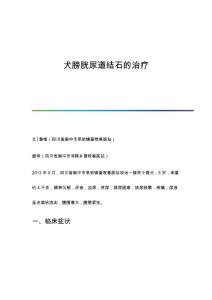 犬膀胱尿道结石的治疗