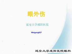 眼外伤.ppt