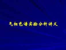 气相色谱实验分析讲义