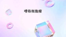 嗜铬细胞瘤PPT