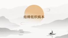 结缔组织病本PPT