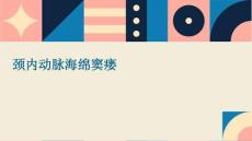 颈内动脉海绵窦瘘优秀PPT