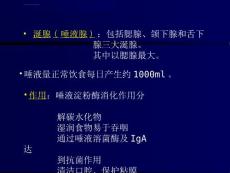 涎腺疾病超声诊断ppt课件.ppt