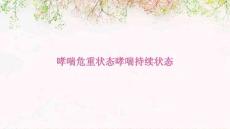 哮喘危重状态哮喘持续状态PPT