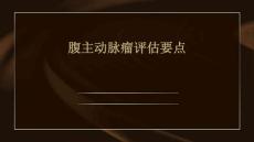腹主动脉瘤评估要点PPT