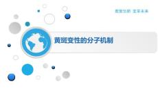 黄斑变性的分子机制