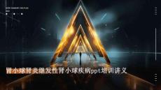 肾小球肾炎继发性肾小球疾病ppt培训讲义