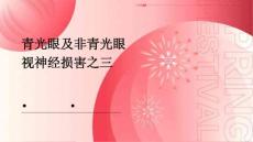 青光眼及非青光眼视神经损害之三PPT