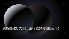 膀胱癌 化疗方案