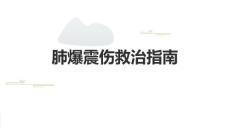 2024肺爆震伤救治指南PPT