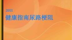 健康指南尿路梗阻的原因与治疗方法解析PPT