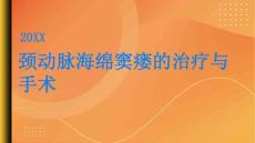 健康指南颈动脉海绵窦瘘的治疗方法和手术介绍PPT