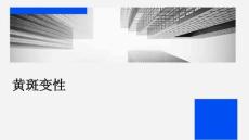 黄斑变性