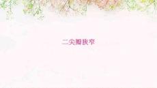 二尖瓣狭窄