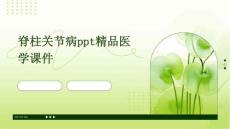 脊柱关节病PPT精品医学课件