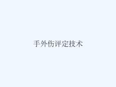 手外伤评定技术