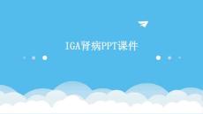 IgA肾病PPT课件