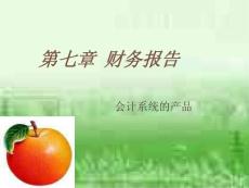 会计课件第七章 财务报告