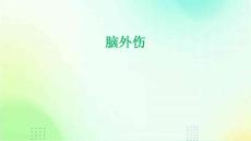 2脑外伤