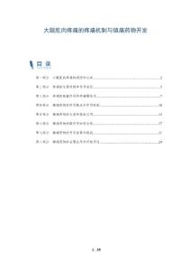 大腿肌肉疼痛的疼痛机制与镇痛药物开发