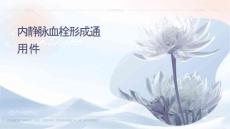 颅内静脉窦血栓形成通用课件