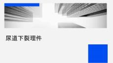 尿道下裂护理课件