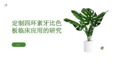 定制四环素牙比色板临床应用的研究