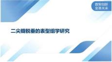 二尖瓣脱垂的表型组学研究